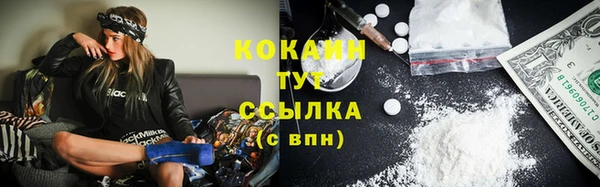 дурь Козловка