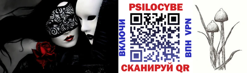 Псилоцибиновые грибы Psilocybe магазин продажи наркотиков Медвежьегорск