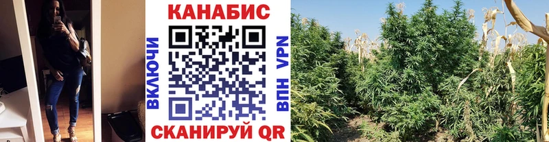 Конопля SATIVA & INDICA  Медвежьегорск 